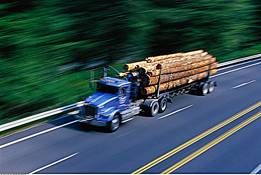 伐木,卡车
