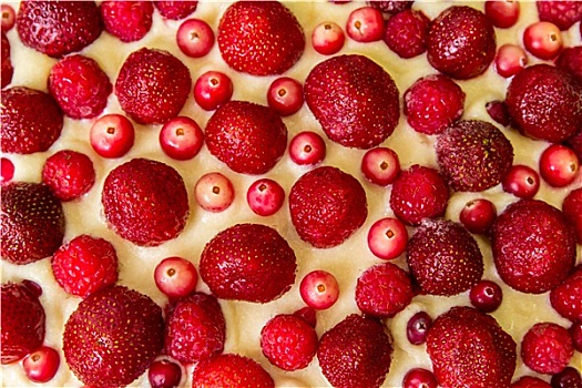蔓越莓,草莓蛋糕