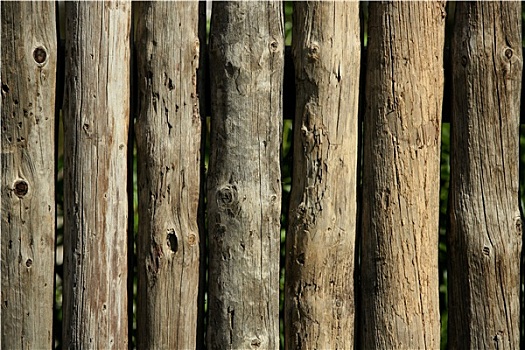 木头,条纹,树干,墙壁,栅栏,传统,建筑