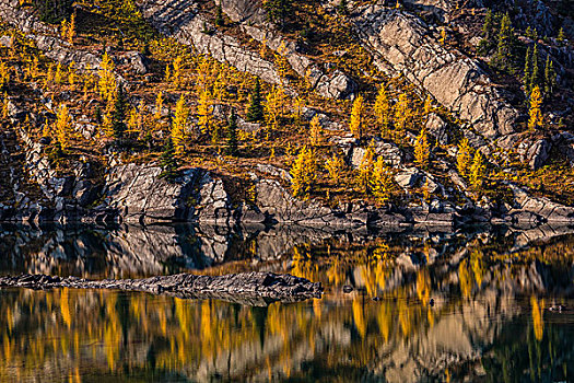 岩岛湖,在秋天,省立公园,英属哥伦比亚大学,加拿大