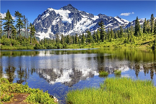 湖,常绿植物,舒克森山,华盛顿,美国