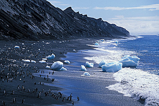 南极,欺骗岛,帽带企鹅,南极企鹅,黑色背景,火山,沙滩,排列,冰山