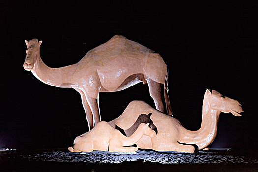 西班牙,加纳利群岛,兰索罗特岛,骆驼,雕塑,夜晚,兴趣