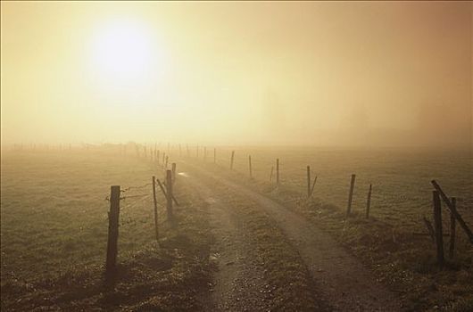 土路,栅栏,太阳,晨雾,巴伐利亚,德国