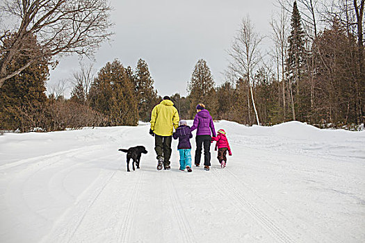 母亲,狗,走,雪中,后视图