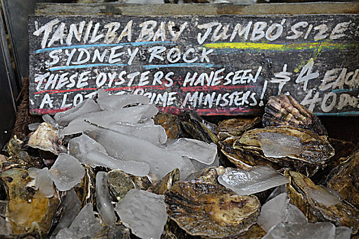 澳洲牡蛎