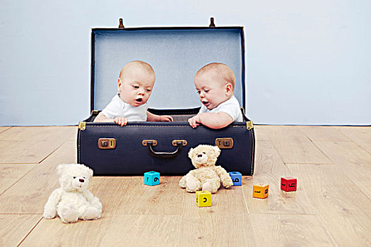 两个,男婴,坐,手提箱,看,玩具
