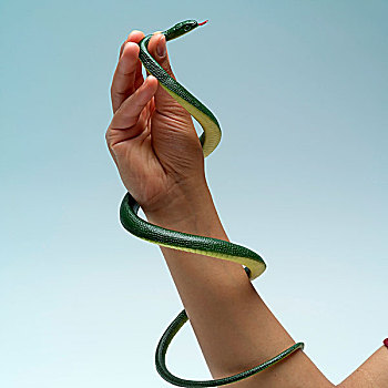 黑色,握着,绿色,塑料制品,蛇