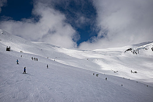 旅游,滑雪板,积雪,山,惠斯勒,不列颠哥伦比亚省,加拿大