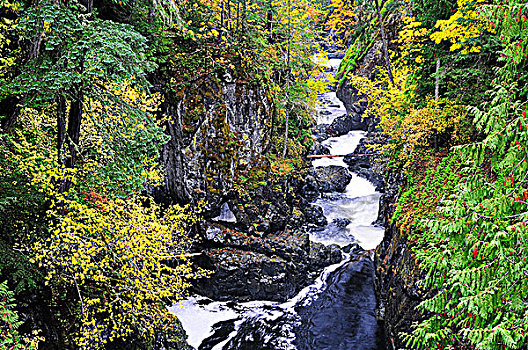 下瀑布,河,瀑布,省立公园,靠近,不列颠哥伦比亚省,加拿大