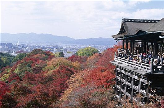 清水寺,秋叶,京都,本州,日本