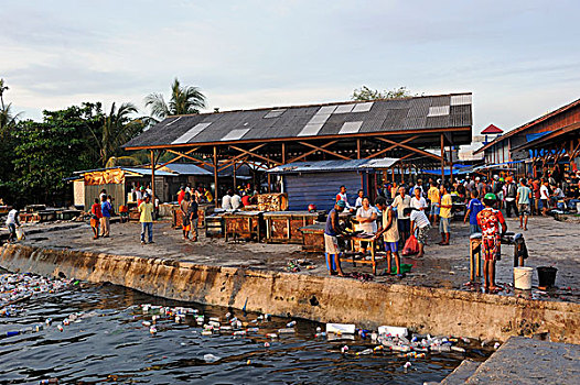 鱼,鱼市,漂浮,塑料制品,碎片,正面,岛屿,伊里安查亚省,印度尼西亚,东南亚,亚洲