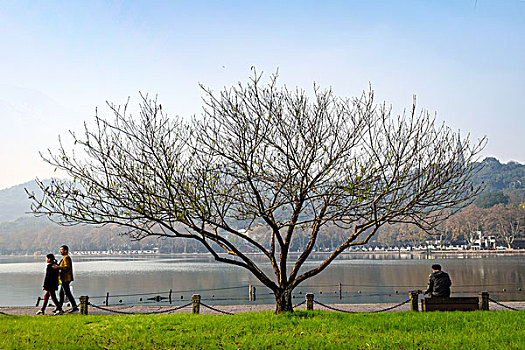 杭州西湖风光秋景