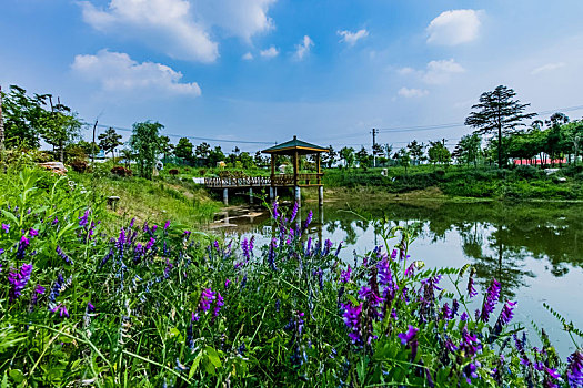 江苏省南京市横梁雨花石生态园