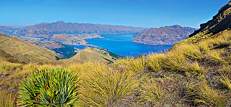 全景,顶峰,瓦卡蒂普湖,壮观,皇后镇,奥塔哥地区,南岛,新西兰,大洋洲