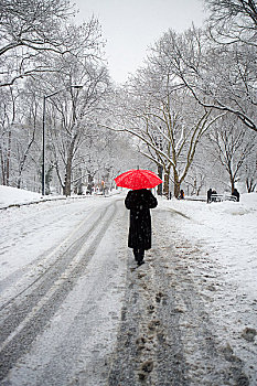 人,红色,伞,走,雪中