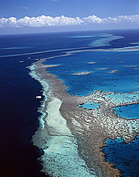 航拍,海岸线,大堡礁,岛屿,澳大利亚