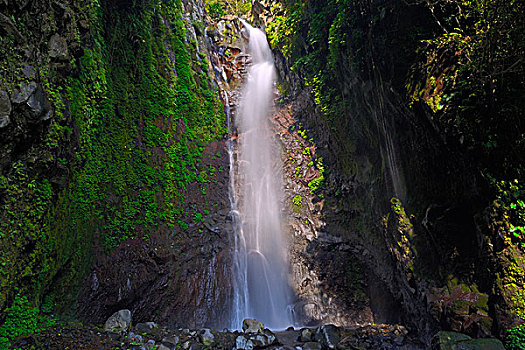瀑布,北方,巴厘岛,印度尼西亚,亚洲