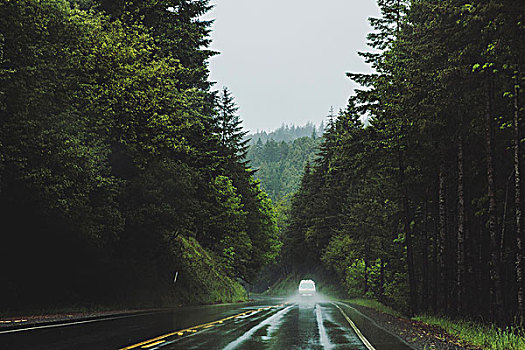 汽车,驾驶,乡村道路,树林,雨