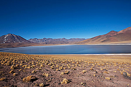 高原,安托法加斯塔大区,北方,智利,湖,分开,火山岩,喷发,火山