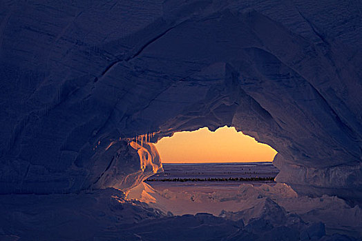 南极,冰山,拱形,午夜,阳光,帝企鹅,背景