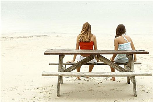 后视图,女孩,女青年,坐,野餐桌,海滩