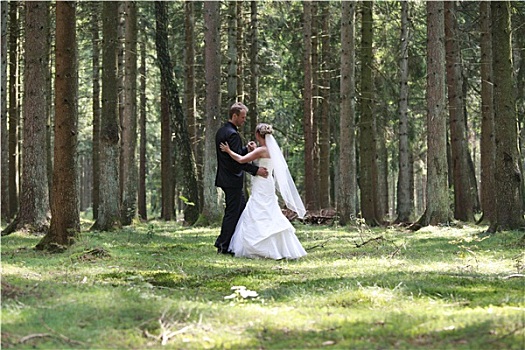 新郎,新娘,跳舞,树林
