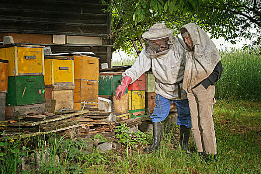 养蜂人,解释,工艺