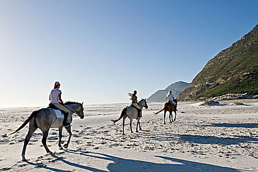 三个人,骑马,海滩