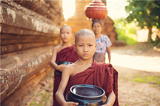 佛教,新信徒,僧侣,收集,食物