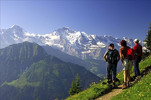 游客,看,少女峰,伯恩高地,瑞士