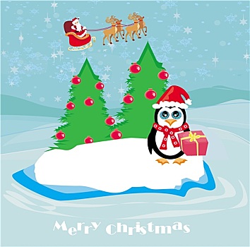 企鹅,圣诞礼物