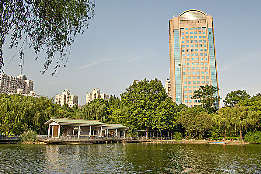 上海鲁迅公园景观