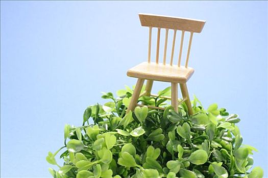 微型,椅子,栖息,塑料制品,植物