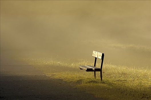 公园长椅,雾状,晨光