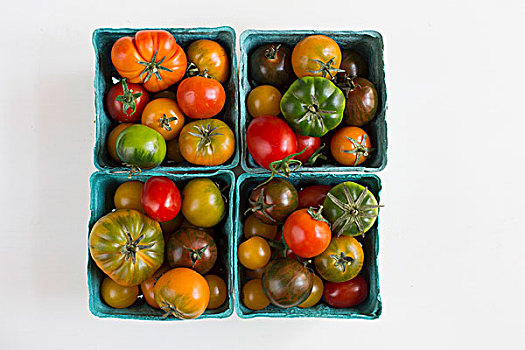 纯种西红柿,蓝色,纸板,扁篮