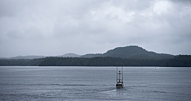 渔船,海洋,温哥华岛,加拿大