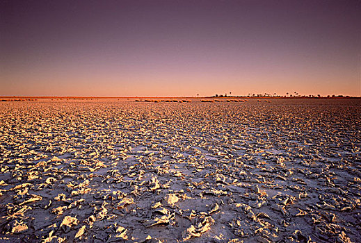 日落,上方,马卡迪卡迪盐沼,博茨瓦纳,南非