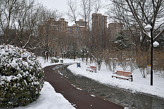 河北省石家庄市公园雪景