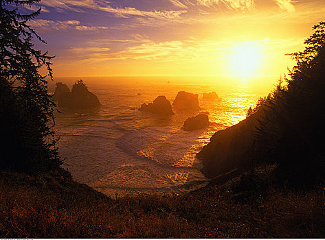 海岸线,日落,俄勒冈,美国