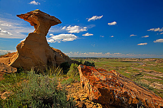 砂岩,尖顶,荒地,靠近,蒙大拿,美国