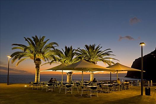 平台,餐馆,棕榈树,日落,马德拉岛,葡萄牙