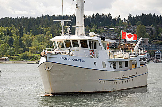 加拿大,不列颠哥伦比亚省,温哥华,太平洋,渔船,奢华,游艇