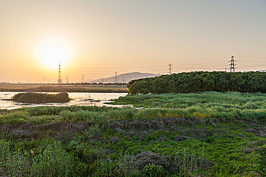 夕阳下的湖泊草地