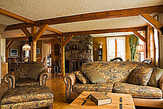 松林,茶几,箱柜,椅子,沙发,客厅,老,木质,侧面,住宅,家,魁北克,加拿大