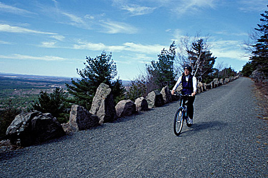 北美,美国,自行车,山,道路