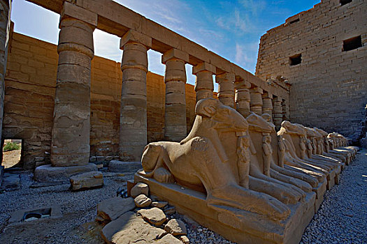 排,狮身人面像,卢克索神庙,现代,白天,路克索神庙,古老,底比斯,埃及