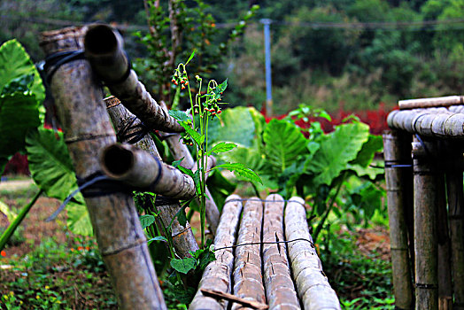 田野中的竹椅