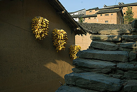 挂着玉米节的山村土屋,村落