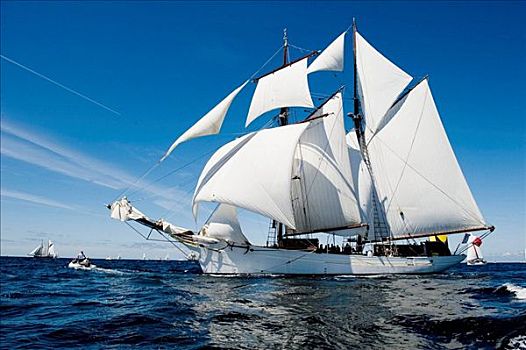 法国,纵帆船,巡航,国际,节日,布雷斯特,菲尼斯泰尔,布列塔尼,七月,2008年